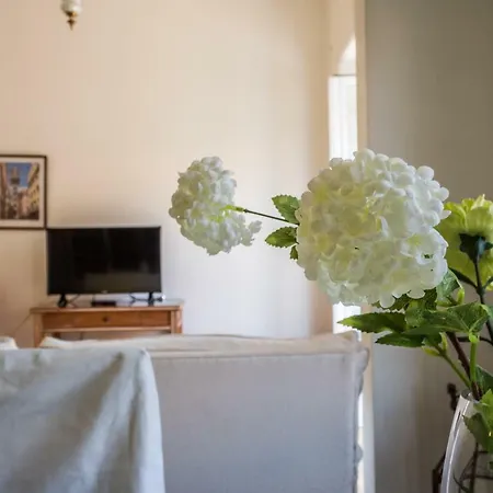 Bem Portugues. Apartamento Agradavel * Lissabon